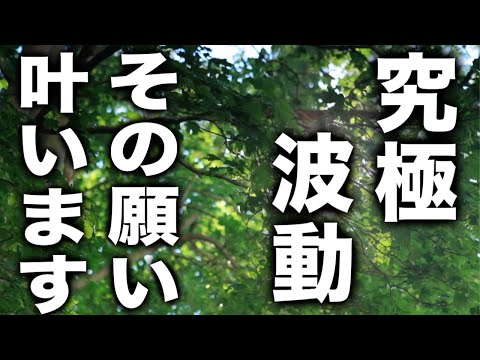 「究極の波動です。その願い叶います」天界メッセージは常に何手先までも見通して示されます。人はすぐに「今すぐ」と思いますが、数年後かもしれません。ただ、確実に予言は的中するのです(a0319)