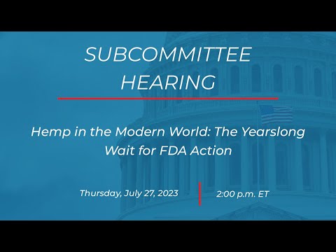 Subcommittee on Health Care and Financial Services Hearing