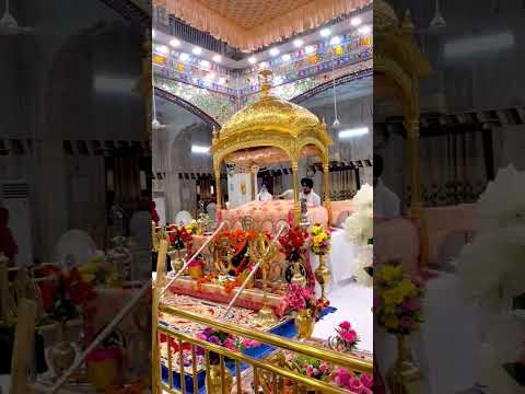 Dhar Tere Te Aanke🙏#waheguru #sanjhvlog #viral #ytshorts #foryou