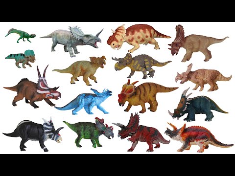 Ceratopsian Dinosaurs - The Kids' Picture Show