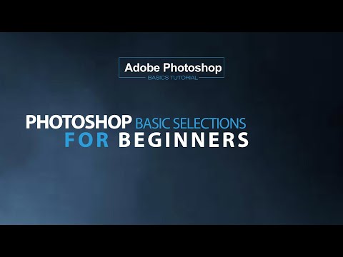 Adobe Photoshop Tutorial  I  The Basics for Beginners