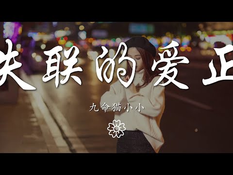 九命貓小小 - 永不失聯的愛正式版『你給我 這一輩子都不想失聯的愛』【動態歌詞Lyrics】