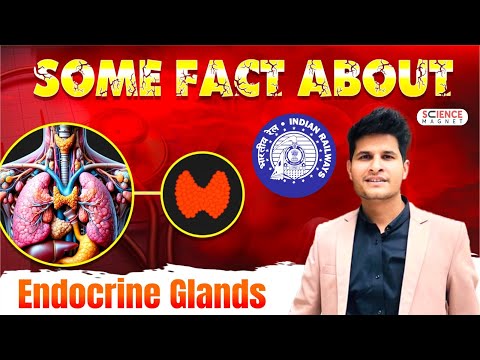 Railway Exams 2024 Some Fact About Endocrine glands #neerajsir #sciencemagnet