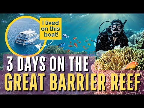 I Spent 3 Days on a Liveaboard in the Great Barrier Reef