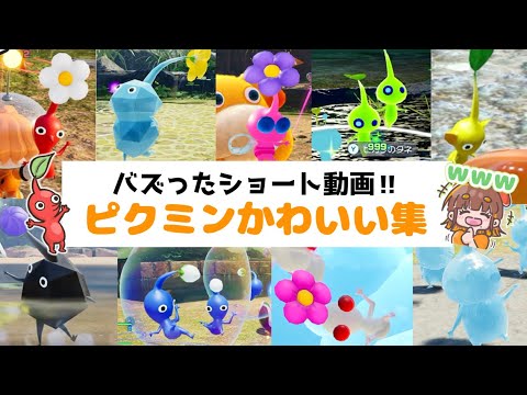 【総集編】ショートでバズったピクミンかわいい集まとめ！【ピクミン4／PIKMIN4】