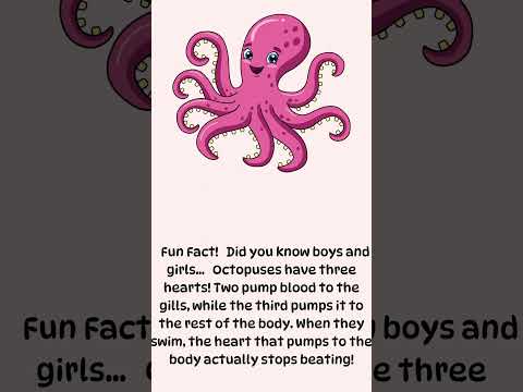 Octopus| GG #kids #kidslearing