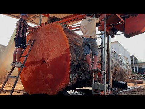 Wood Cutting Skills // Sawing A 1000 Year Old Red Oak Tree Stump