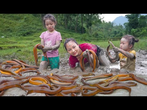 Catch eel in deep mud, How to find eels underground - Cook with kids | Hoang Huong