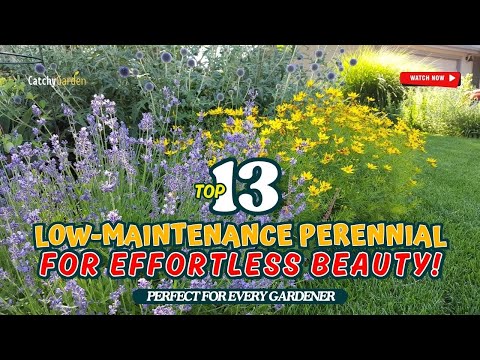 Top 13 LOW-MAINTENANCE Perennial Flowers for Effortless Beauty! 🌹🌻🌷 // Gardening Ideas