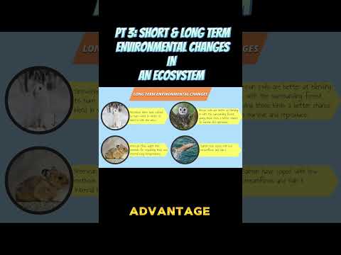 PART 3 : Ecosystem Evolution: Short vs Long-Term Changes #ecosystem #environmental #science