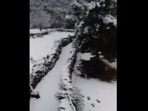 Snow falling in Pauri Garhwal Uttarakhand