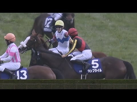 【津村明秀 G1初勝利】同期の川田とガッチリと握手を交わす様子も！ ヴィクトリアマイル2024 テンハッピーローズ【レース映像】