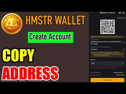 how to create HMSTR wallet in bybit || copy hmstr wallet address