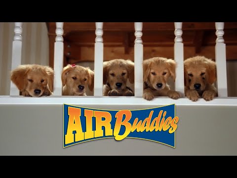 AIR BUDDIES: Los Amigos