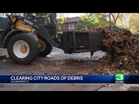 Here's what you should know about getting leaves ready for The Claw in Sacramento