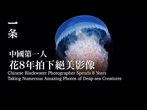 [EngSub] Chinese Blackwater Photographer Spends 8 Years Taking Numerous Photos of Deap-sea Creatures