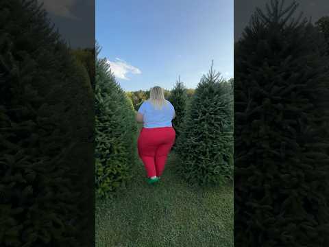 A little Christmas tree farm behind the scenes…