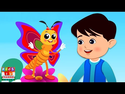 Titli Udi Ud Na Saki, बिल्ली करती म्याऊं म्याऊं + More Baby Songs in Hindi and Kids Rhymes