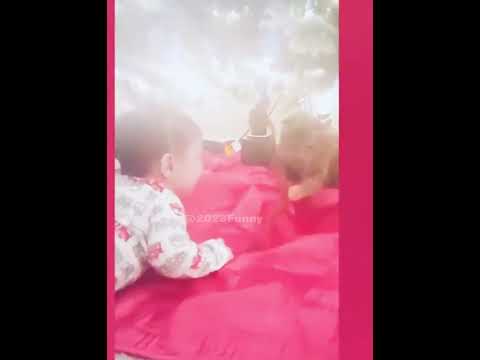 #fyp #baby #babylove #lovingbaby #funny #funnyvideos #amazing #reaction #cute #shorts