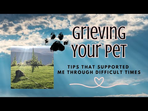 Grieving Your Pet_Practices that helped me with Grief