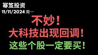 第1325期「幂笈投资」11/11/2024 特斯拉独秀，其他大科技开始回调 ｜ 这些个股利好，一定要买！｜ moomoo