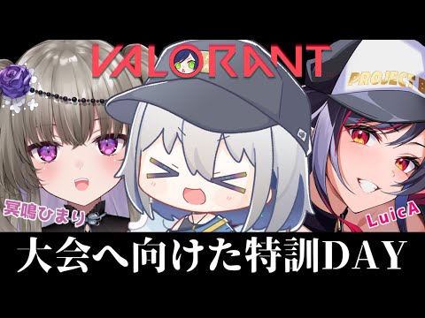 【ブロンズからの下剋上】VALORANT大会のリーダーになりました！