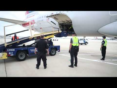 CBP Planeside Inspection at Philadelphia International Airport