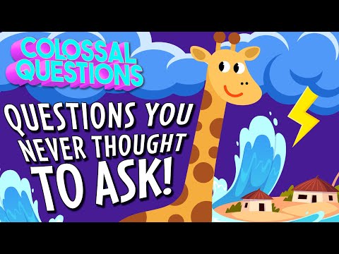 Questions You Never Thought to Ask! | COLOSSAL QUESTIONS