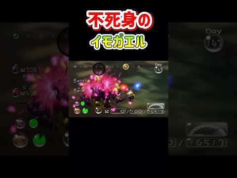 イモガエル　不死身【ピクミン2】