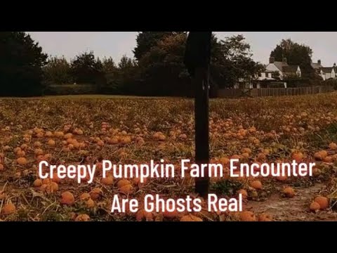 Creepy Pumpkin Farm Encounter Are Ghosts Real