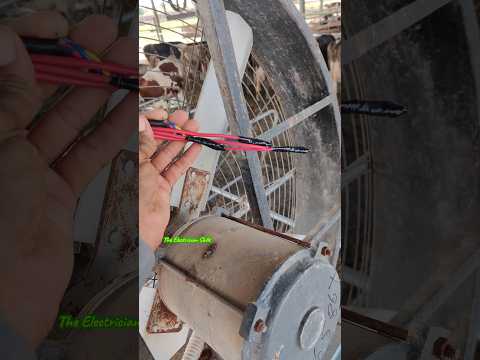 joint electrical wire #shorts #youtubeshorts