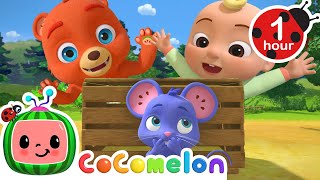 Peek-a-Boo Fun with JJ, Boba, Mimi & Tori! 🎉 | Hide-and-Seek Adventure! | Cartoons for Kids