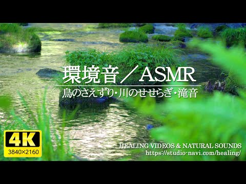 [Environmental sound / ASMR] Fresh green and bird vocalization, river babbling, waterfall sound