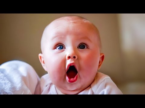 Hilarious Baby Moments That Will Make Your Day - Funny Baby Videos