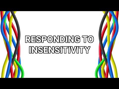 Differently Wired - Episode 69 - Responding to Insensitivity