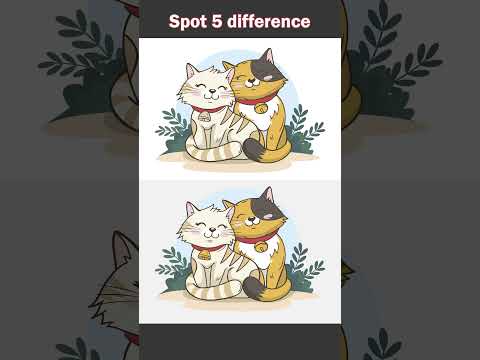 Spot The Difference Cat couple | #shorts #spotthedifference #findthedifference