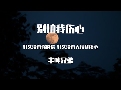 半吨兄弟 -別怕我傷心 （原唱：张信哲）【動態歌詞】「好久沒有你的信 好久沒有人陪我談心 懷念你柔情似水的眼睛 是我天空最美麗的星星」♪Lyrics Video♪