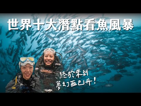 【馬來西亞潛水】 世界前10大夢幻潛點！西巴丹真的是潛水員必去嗎？