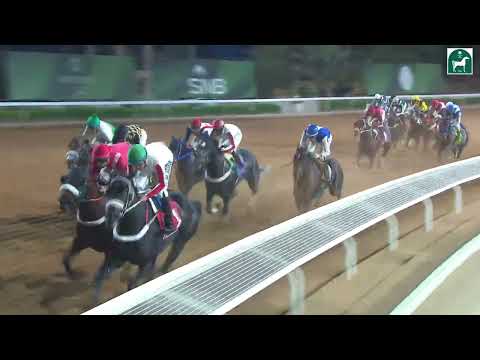 RIYADH RACING SEASON MEETING NO 51 RACE NO 7