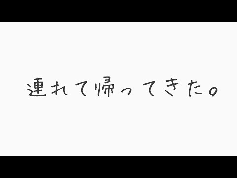 【雑談】寂しいので女をひとり連れ帰りました。【#パレプロ #藤宮コトハ】