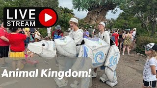 🔴Disney’s Animal Kingdom | Merry Menagerie | Disney World Livestream | 11/17/2024