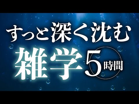 【睡眠導入】すっと深く沈む雑学5時間【合成音声】