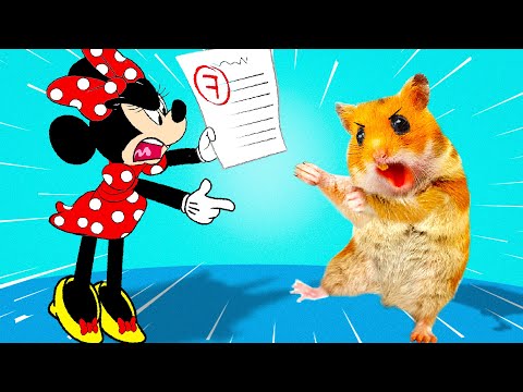 Hamster Escapes from the Prison Maze for Pets in real life 🐹in Hamster stories | Life Of Pets HamHam