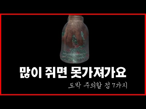 도박 이길 확률 높이는 법