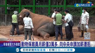 "夢幻工作"慘淪為血汗勞工! 動物保育員月薪僅3萬多 向中央申請加薪卻遭拒 動物園方盼中央能夠重視薪資問題│記者 羅珮瑜 謝文祥│【LIVE大現場】20230529│三立新聞台