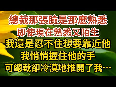 《闪婚总裁》第10集：總裁那張臉是那麼熟悉，即使現在熟悉又陌生，我還是忍不住想要靠近他，我悄悄握住他的手，可總裁卻冷漠地推開了我……#戀愛#婚姻#情感 #愛情#甜寵#故事#小說#霸總