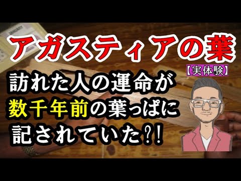 アガスティアの葉、5000年前の予言が今に蘇る