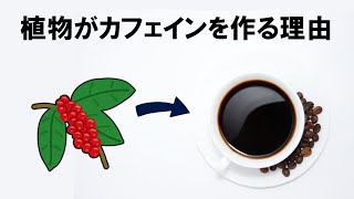 【ゆっくり解説】万能物質カフェイン