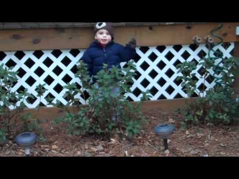 Parker and Will Freeman Dance in the bushes