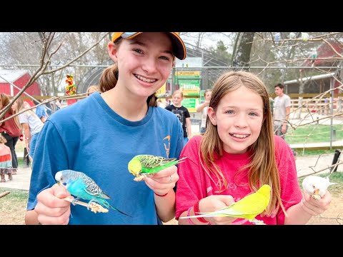 Catching Birds at a Farm!!